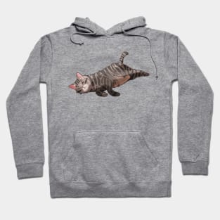 Lazy tabby cat - gift for cat lovers Hoodie